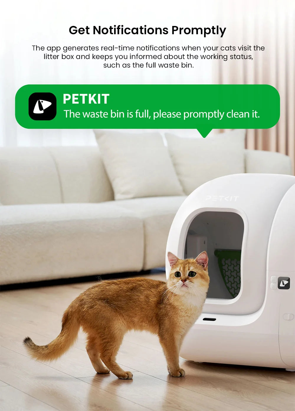 Lettiera Automatica Smart PETKIT PuraMax 2 — Autopulizia 15 Giorni App Control
