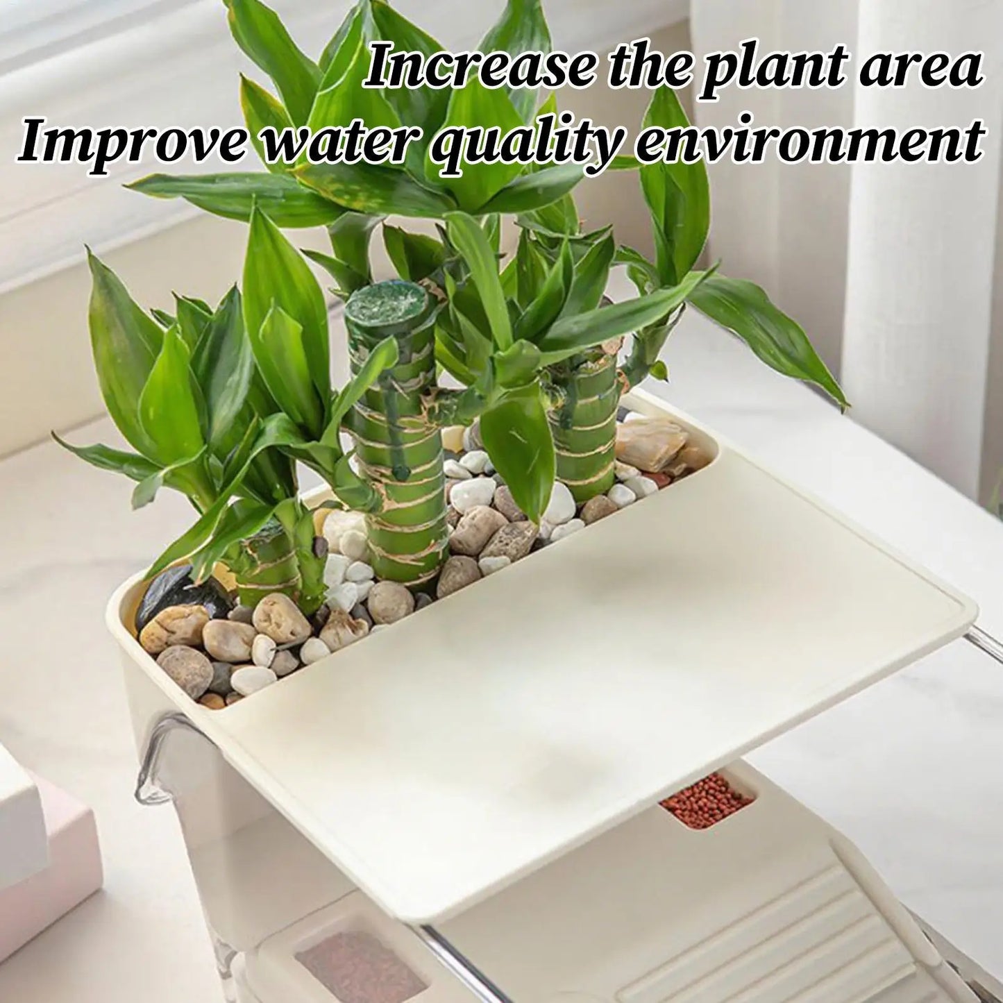 Acquario Terrario Multifunzione per Tartarughe — Trasparente