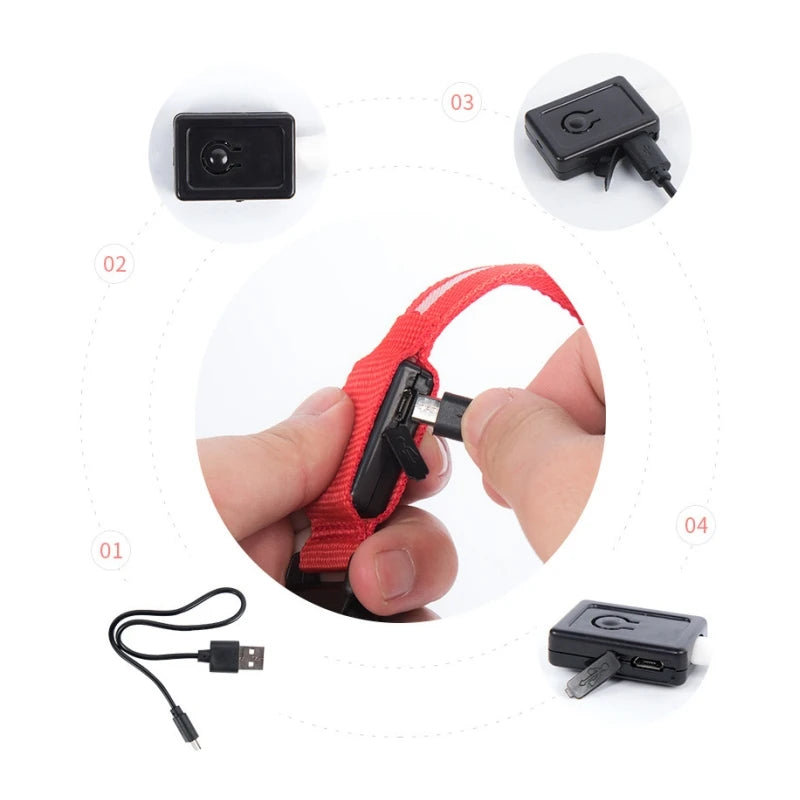 Collare LED Ricaricabile per Cani — Visibilità Notturna e Sicurezza