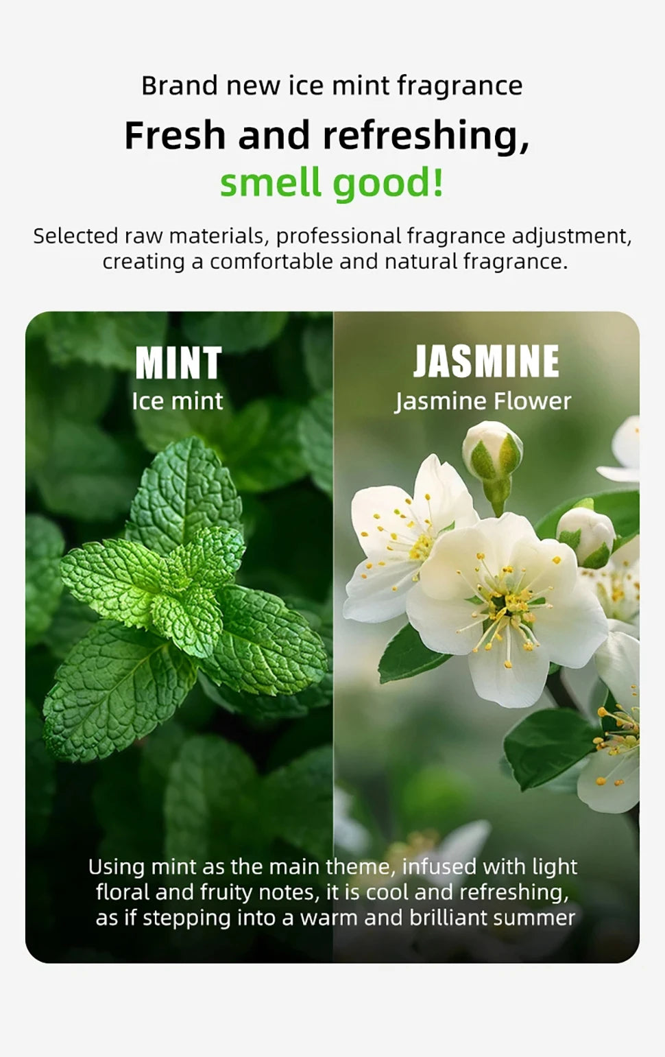 Cartuccia Deodorante PETKIT N50 per Lettiera Automatica — Elimina gli Odori"