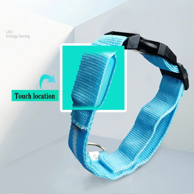 Collare LED Ricaricabile per Cani — Visibilità Notturna e Sicurezza